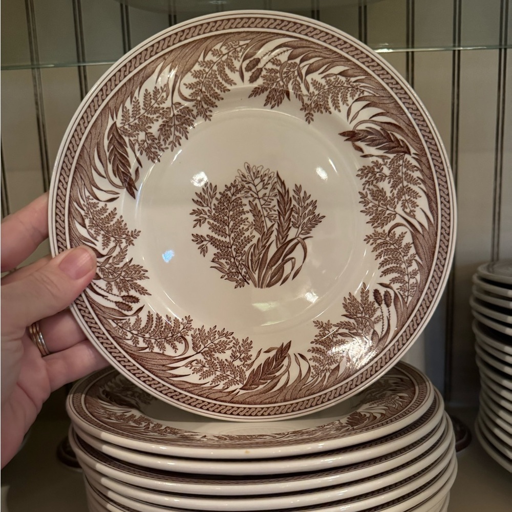 Martha Stewart Harvest Dish ware Set